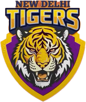 West Delhi Lions Delhi Premier League T20 2025 Match at Arun Jaitley Stadium